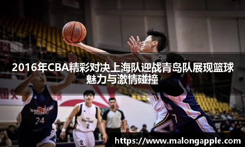 2016年CBA精彩对决上海队迎战青岛队展现篮球魅力与激情碰撞