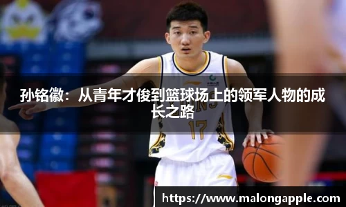 孙铭徽：从青年才俊到篮球场上的领军人物的成长之路