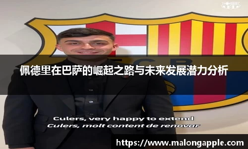 佩德里在巴萨的崛起之路与未来发展潜力分析