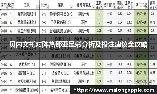 3377体育官网