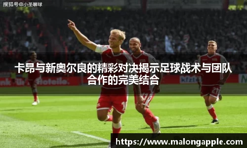 3377体育官网