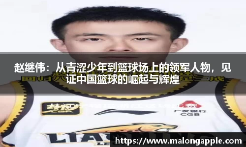 赵继伟：从青涩少年到篮球场上的领军人物，见证中国篮球的崛起与辉煌