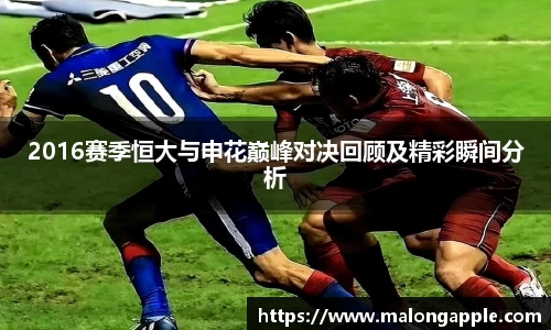 3377体育官网