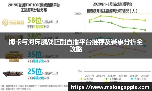 3377体育