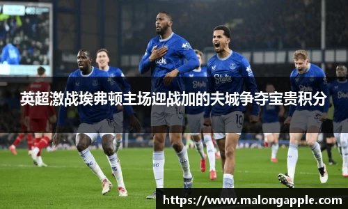 英超激战埃弗顿主场迎战加的夫城争夺宝贵积分