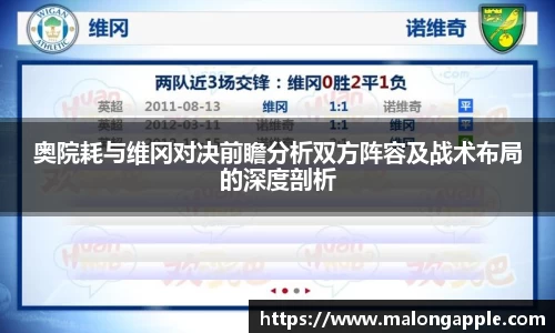奥院耗与维冈对决前瞻分析双方阵容及战术布局的深度剖析