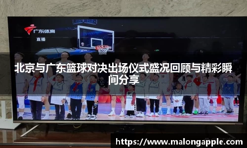 3377体育官网