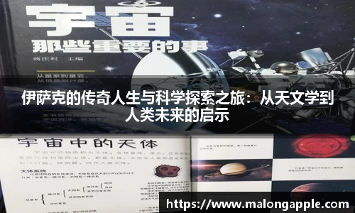 3377体育官网
